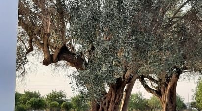 Land in Boliqueime of 2,170 m²