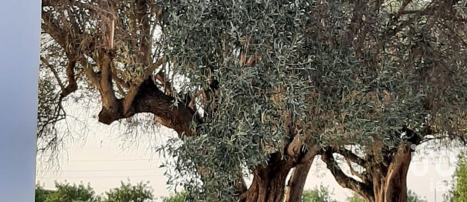 Terreno em Boliqueime de 2 170 m²