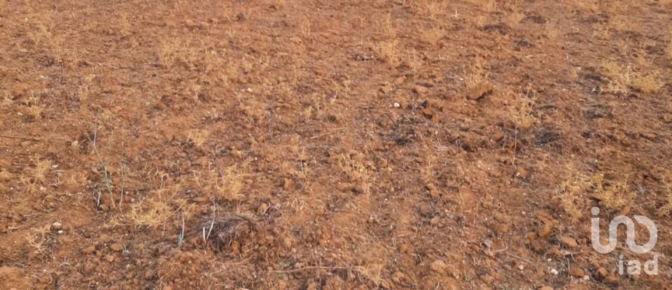 Terreno em Boliqueime de 2 170 m²