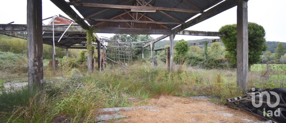Terreno urbano em Miranda do Corvo de 6 504 m²