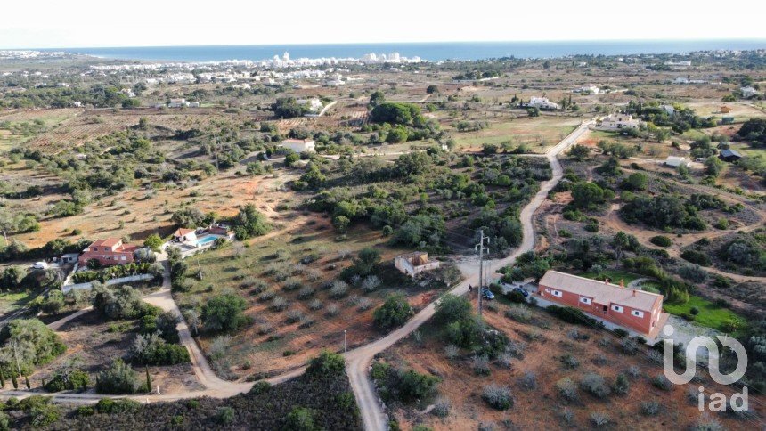 Terreno em Alcantarilha e Pêra de 33 520 m²