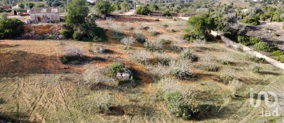 Terreno em Alcantarilha e Pêra de 33 520 m²