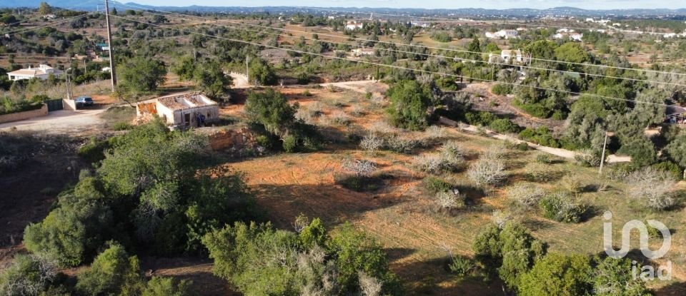 Terreno em Alcantarilha e Pêra de 33 520 m²