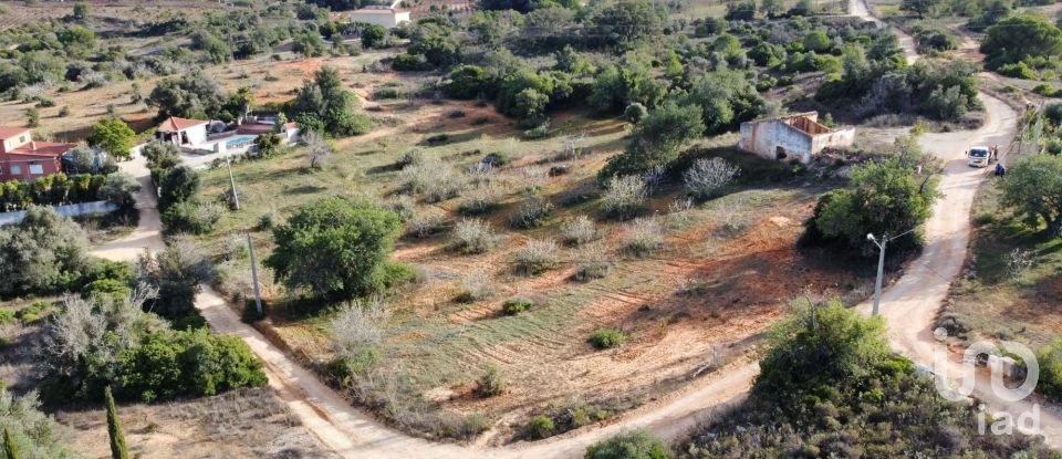 Terreno em Alcantarilha e Pêra de 33 520 m²