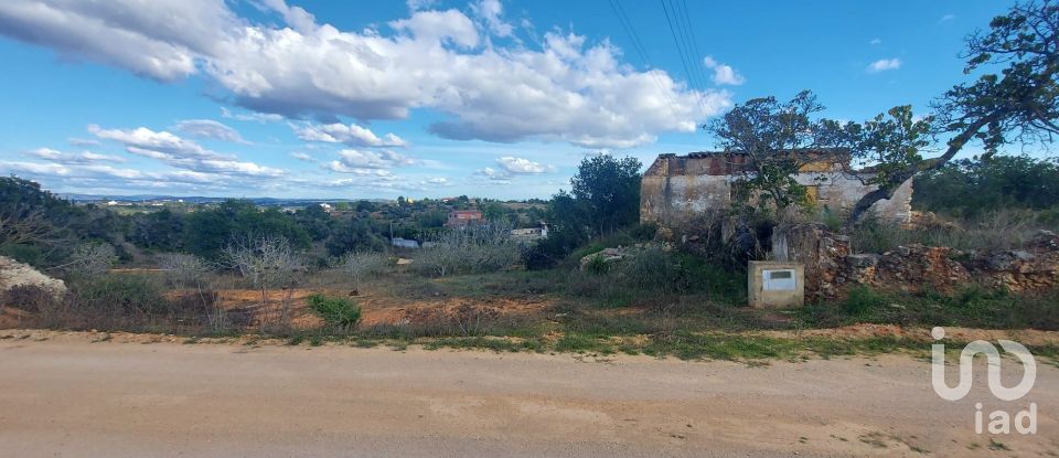Terreno em Alcantarilha e Pêra de 33 520 m²