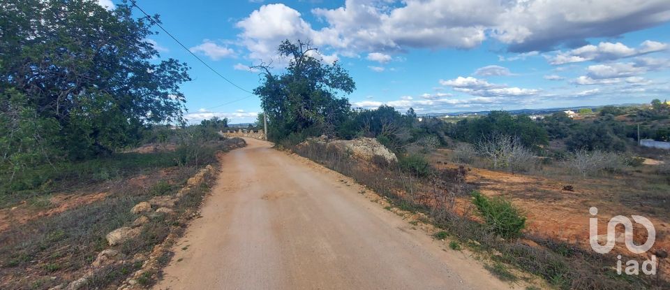 Terreno em Alcantarilha e Pêra de 33 520 m²