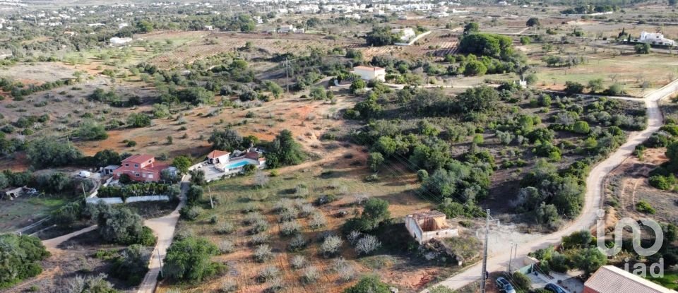 Terreno em Alcantarilha e Pêra de 33 520 m²