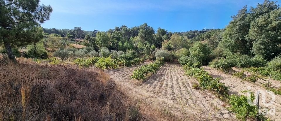 Farm T3 in Celorico (São Pedro e Santa Maria) e Vila Boa do Mondego of 160 m²