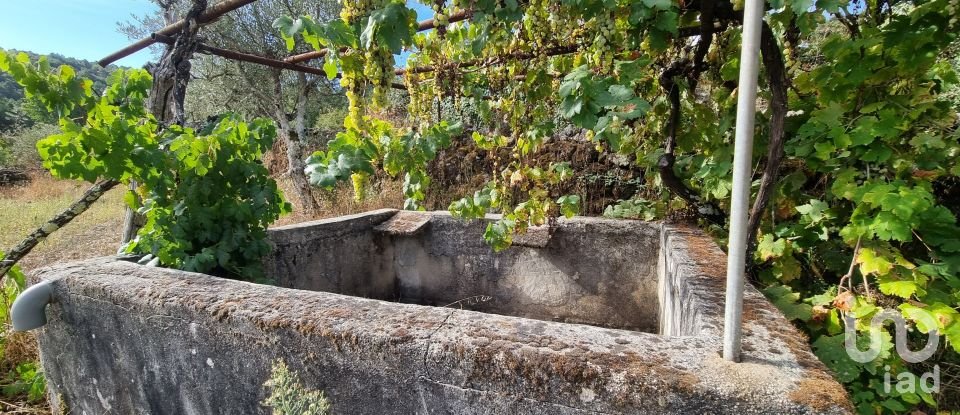 Farm T3 in Celorico (São Pedro e Santa Maria) e Vila Boa do Mondego of 160 m²