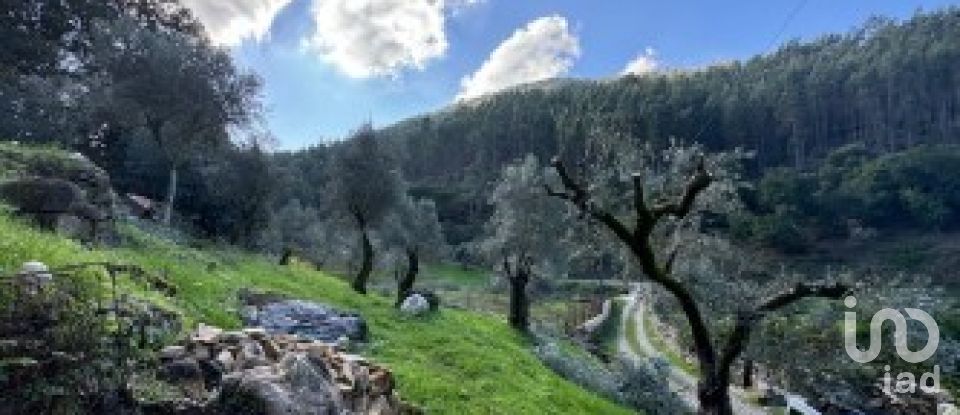 House T3 in Figueiró dos Vinhos e Bairradas of 266 m²