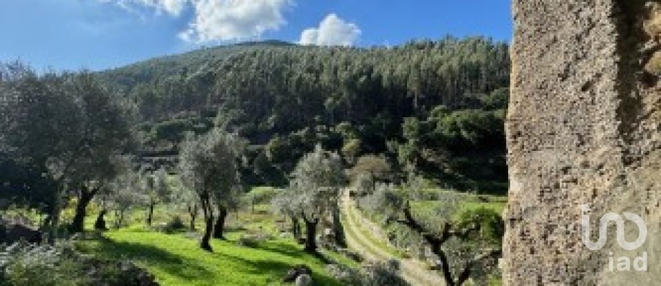 House T3 in Figueiró dos Vinhos e Bairradas of 266 m²