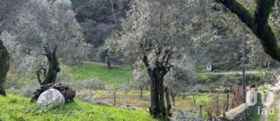 House T3 in Figueiró dos Vinhos e Bairradas of 266 m²