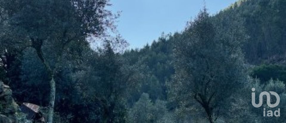 House T3 in Figueiró dos Vinhos e Bairradas of 266 m²