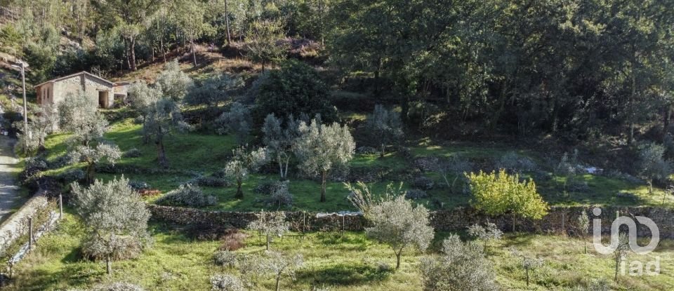 House T3 in Figueiró dos Vinhos e Bairradas of 266 m²