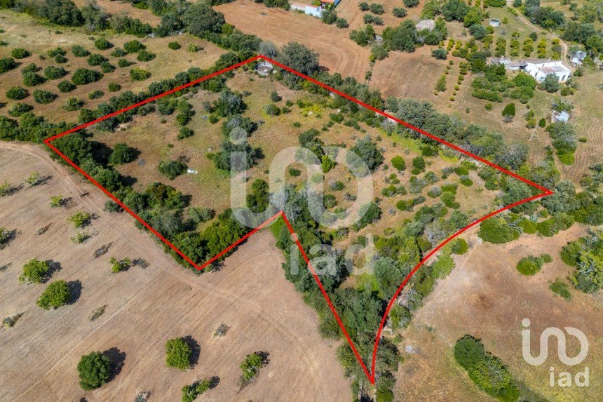 Terreno em Loulé (São Clemente) de 10 000 m²