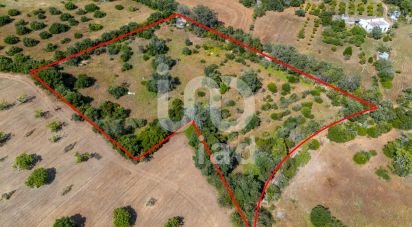 Terrain à Loulé (São Clemente) de 10 000 m²