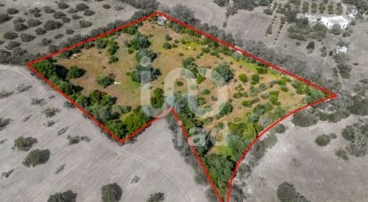 Terrain à Loulé (São Clemente) de 10 000 m²