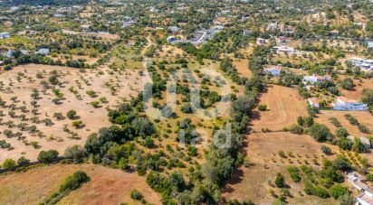 Terrain à Loulé (São Clemente) de 10 000 m²