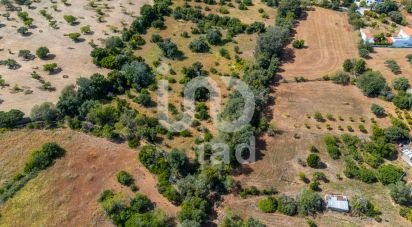 Terrain à Loulé (São Clemente) de 10 000 m²