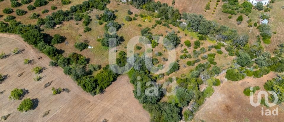 Terreno em Loulé (São Clemente) de 10 000 m²