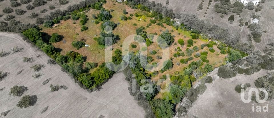 Terreno em Loulé (São Clemente) de 10 000 m²