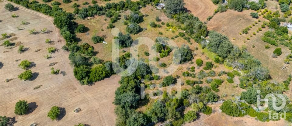 Terreno em Loulé (São Clemente) de 10 000 m²