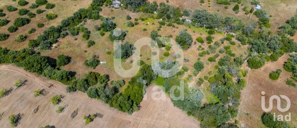 Terreno em Loulé (São Clemente) de 10 000 m²