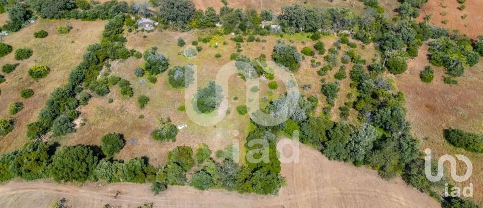 Terreno em Loulé (São Clemente) de 10 000 m²