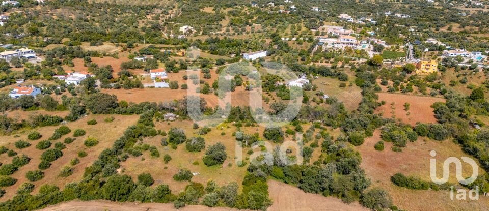 Terreno em Loulé (São Clemente) de 10 000 m²