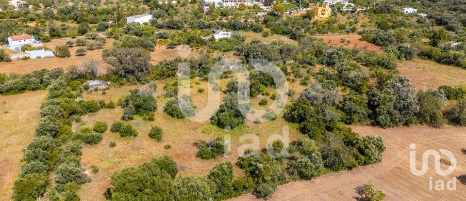 Terreno em Loulé (São Clemente) de 10 000 m²
