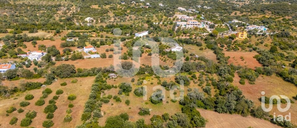 Terreno em Loulé (São Clemente) de 10 000 m²