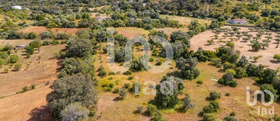 Terreno em Loulé (São Clemente) de 10 000 m²