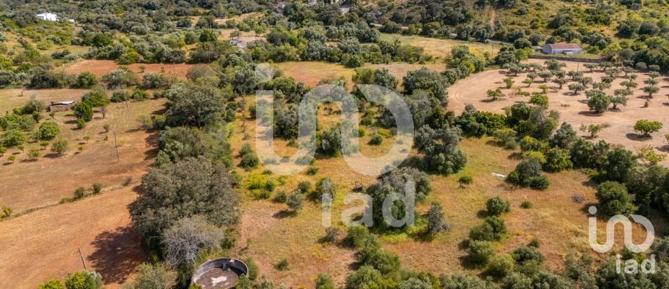 Terreno em Loulé (São Clemente) de 10 000 m²