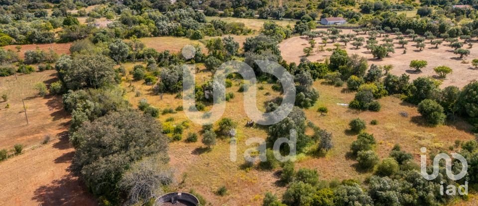 Terreno em Loulé (São Clemente) de 10 000 m²
