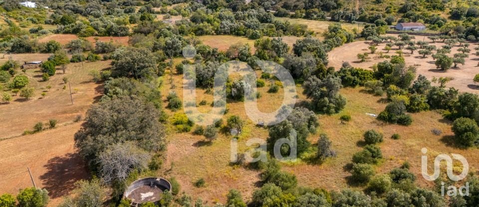 Terreno em Loulé (São Clemente) de 10 000 m²
