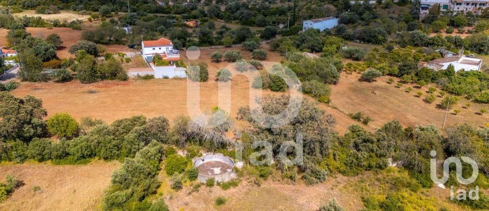 Terreno em Loulé (São Clemente) de 10 000 m²