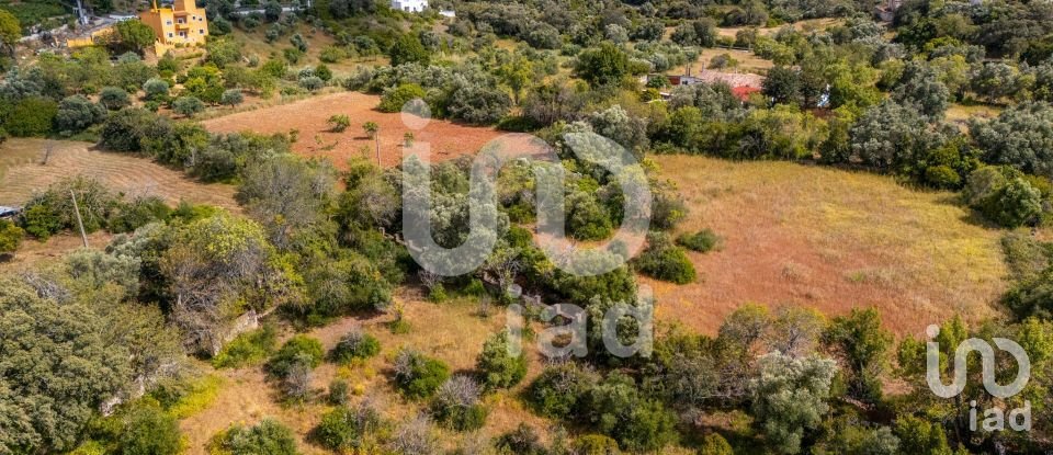 Terreno em Loulé (São Clemente) de 10 000 m²