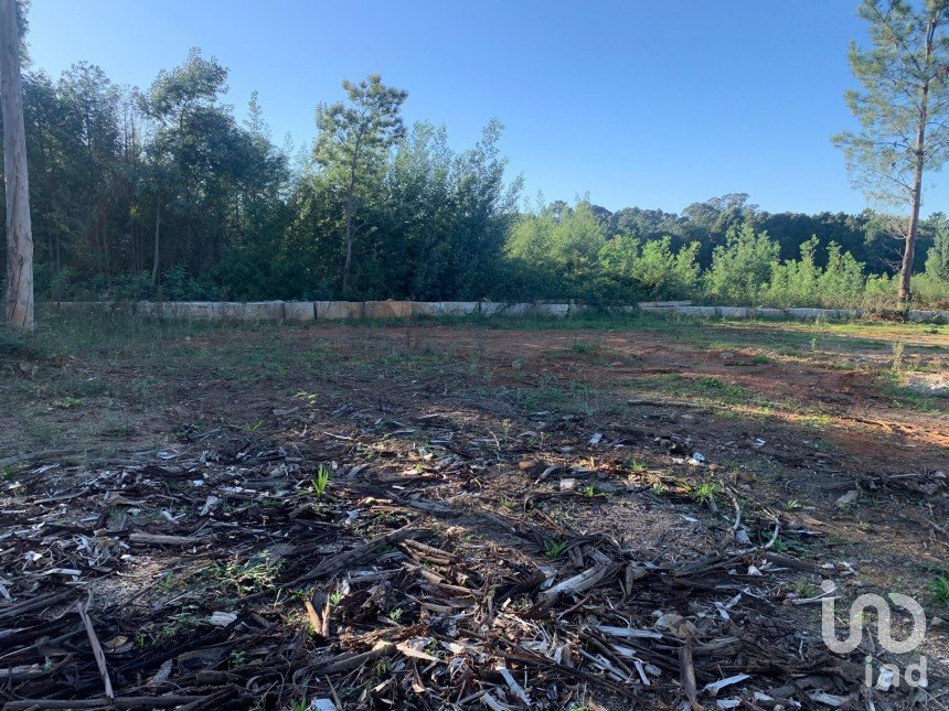 Terreno em Mazedo e Cortes de 6 000 m²