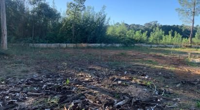 Terreno em Mazedo e Cortes de 6 000 m²