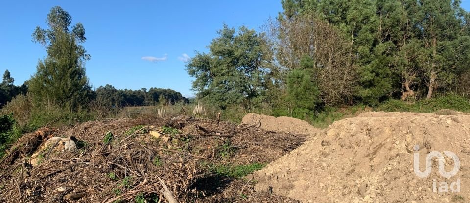 Terreno em Mazedo e Cortes de 6 000 m²