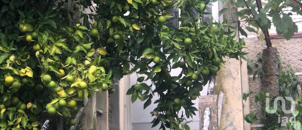 Village house T3 in Santa Cruz da Trapa e São Cristóvão de Lafões of 176 m²