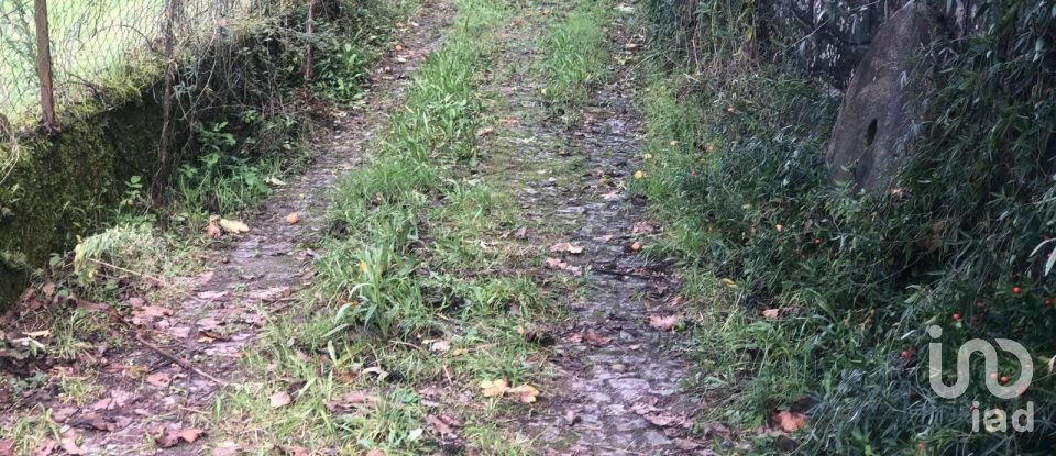 Village house T3 in Santa Cruz da Trapa e São Cristóvão de Lafões of 176 m²