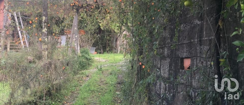 Village house T3 in Santa Cruz da Trapa e São Cristóvão de Lafões of 176 m²