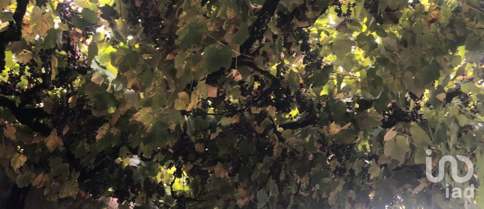 Village house T3 in Santa Cruz da Trapa e São Cristóvão de Lafões of 176 m²