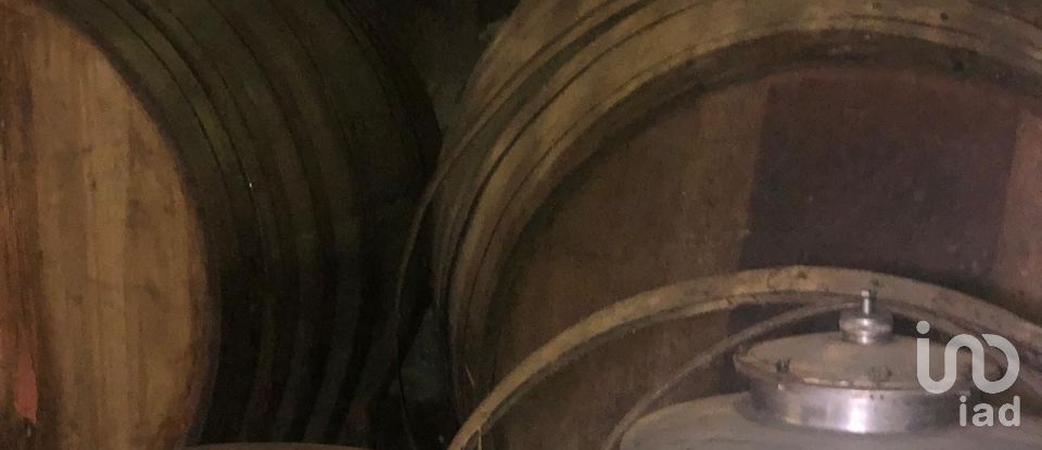 Village house T3 in Santa Cruz da Trapa e São Cristóvão de Lafões of 176 m²