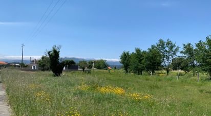 Building plot in Friestas of 1,093 m²