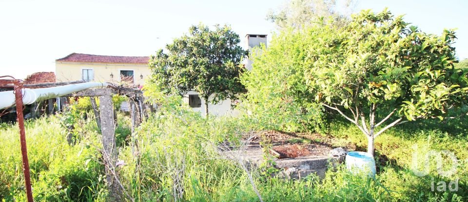 Maison T2 à Além da Ribeira e Pedreira de 216 m²