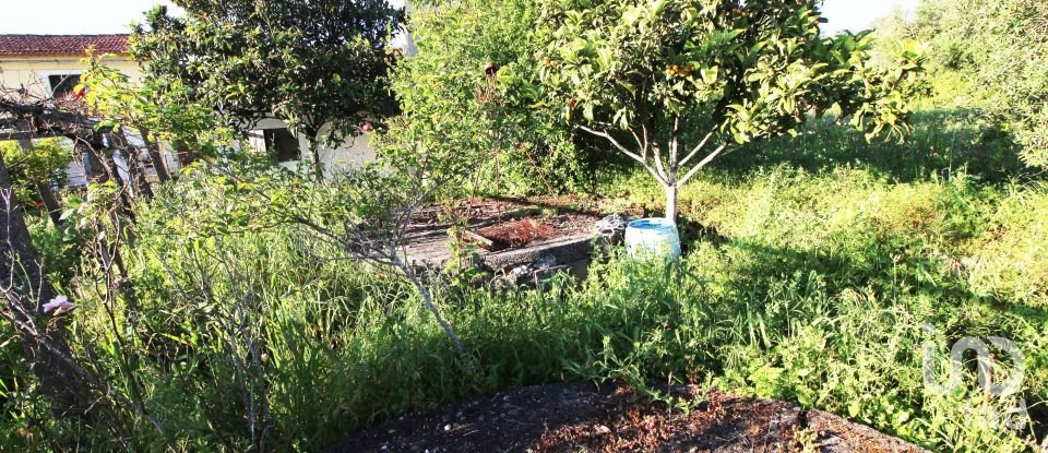 Maison T2 à Além da Ribeira e Pedreira de 216 m²