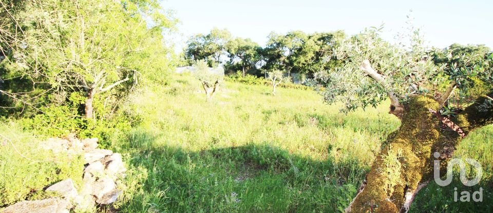 Maison T2 à Além da Ribeira e Pedreira de 216 m²