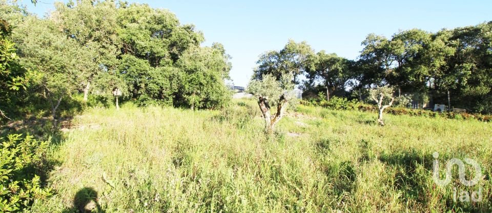 Maison T2 à Além da Ribeira e Pedreira de 216 m²